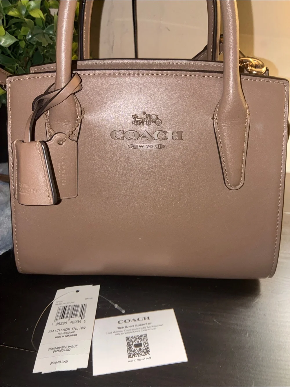 Coach Andrea Carryall Bag